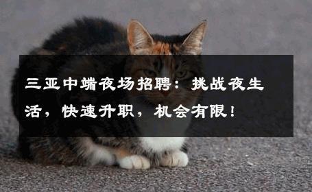 三亚中端夜场招聘：挑战夜生活，快速升职，机会有限！