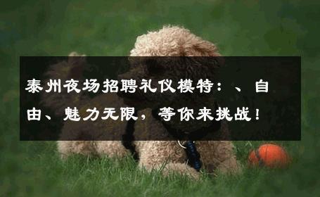 泰州夜场招聘礼仪模特：、自由、魅力无限，等你来挑战！