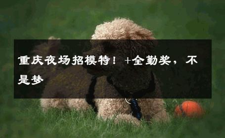 重庆夜场招模特！+全勤奖，不是梦