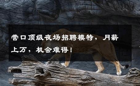 营口顶级夜场招聘模特，月薪上万，机会难得！