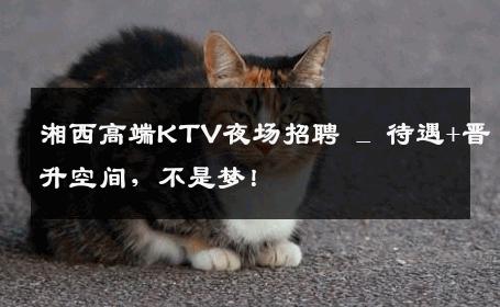 湘西高端KTV夜场招聘 _ 待遇+晋升空间，不是梦！