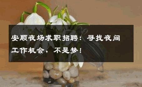 安顺夜场求职招聘：寻找夜间工作机会，不是梦！