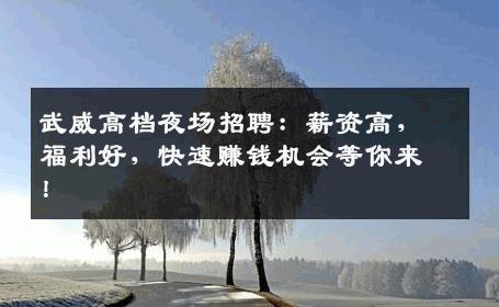 武威高档夜场招聘：薪资高，福利好，快速赚钱机会等你来！
