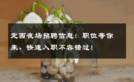 定西夜场招聘信息：职位等你来，快速入职不容错过！