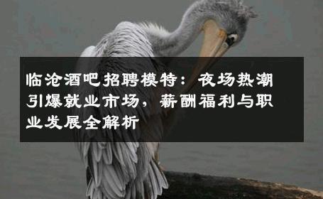 临沧酒吧招聘模特：夜场热潮引爆就业市场，薪酬福利与职业发展全解析