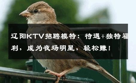辽阳KTV招聘模特：待遇+独特福利，成为夜场明星，轻松赚！