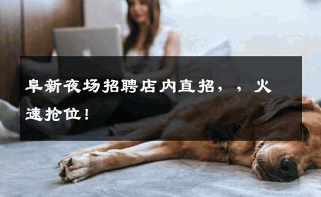 阜新夜场招聘店内直招，，火速抢位！