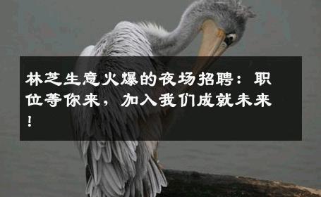 林芝生意火爆的夜场招聘：职位等你来，加入我们成就未来！