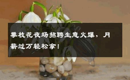攀枝花夜场招聘生意火爆，月薪过万轻松拿！