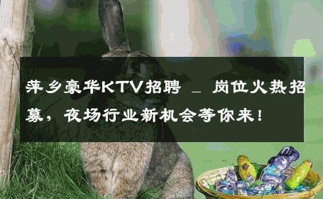 萍乡豪华KTV招聘 _ 岗位火热招募，夜场行业新机会等你来！