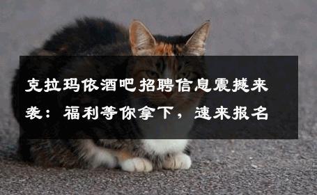 克拉玛依酒吧招聘信息震撼来袭：福利等你拿下，速来报名