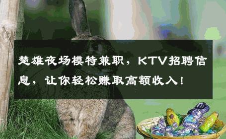 楚雄夜场模特兼职，KTV招聘信息，让你轻松赚取高额收入！