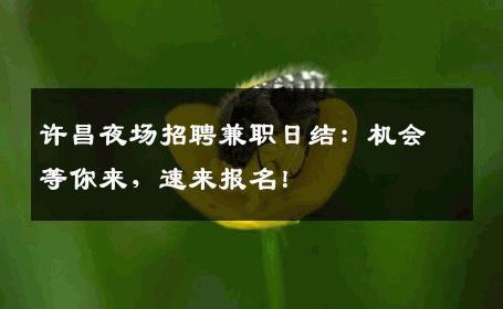 许昌夜场招聘兼职日结：机会等你来，速来报名！