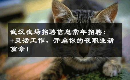 武汉夜场招聘信息常年招聘：+灵活工作，开启你的夜职业新篇章！