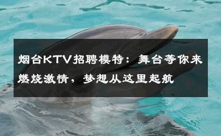 烟台KTV招聘模特：舞台等你来燃烧激情，梦想从这里起航