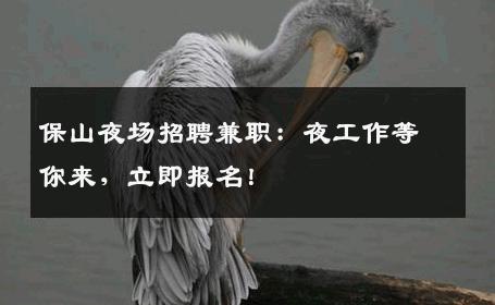 保山夜场招聘兼职：夜工作等你来，立即报名！