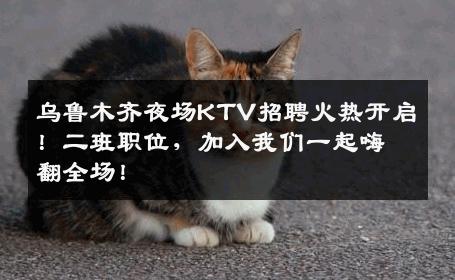 乌鲁木齐夜场KTV招聘火热开启！二班职位，加入我们一起嗨翻全场！