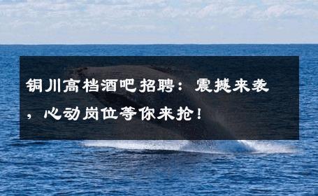 铜川高档酒吧招聘：震撼来袭，心动岗位等你来抢！