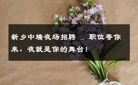 新乡中端夜场招聘 _ 职位等你来，夜就是你的舞台！