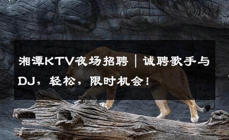 湘潭KTV夜场招聘｜诚聘歌手与DJ，轻松，限时机会！