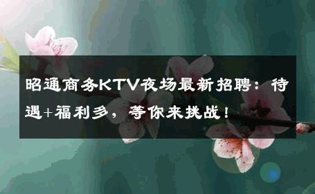 昭通商务KTV夜场最新招聘：待遇+福利多，等你来挑战！