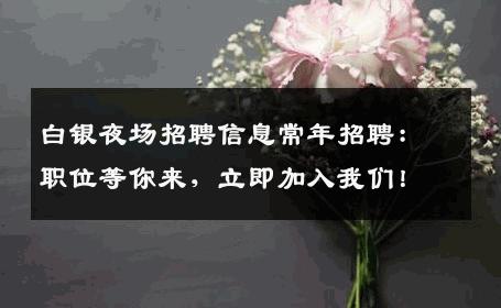 白银夜场招聘信息常年招聘：职位等你来，立即加入我们！