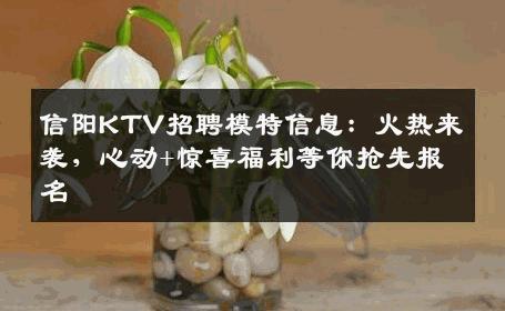 信阳KTV招聘模特信息：火热来袭，心动+惊喜福利等你抢先报名