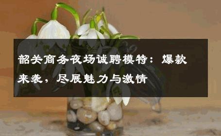 韶关商务夜场诚聘模特：爆款来袭，尽展魅力与激情