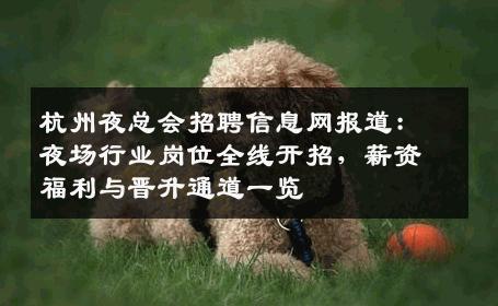 杭州夜总会招聘信息网报道：夜场行业岗位全线开招，薪资福利与晋升通道一览