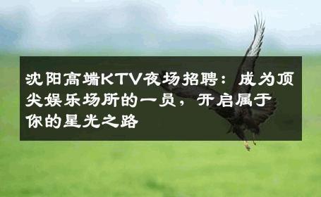 沈阳高端KTV夜场招聘：成为顶尖娱乐场所的一员，开启属于你的星光之路