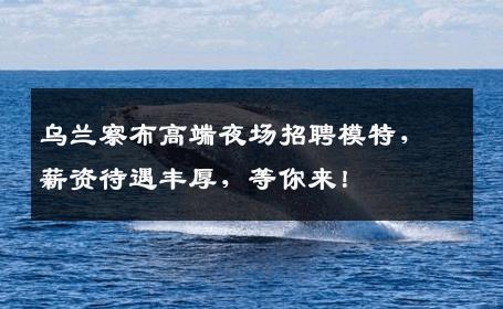 乌兰察布高端夜场招聘模特，薪资待遇丰厚，等你来！