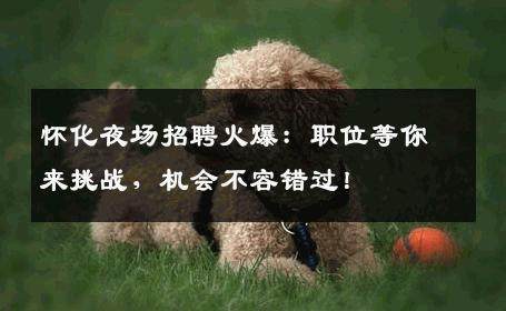 怀化夜场招聘火爆：职位等你来挑战，机会不容错过！