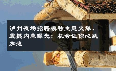 泸州夜场招聘模特生意火爆，震撼内幕曝光：机会让你心跳加速