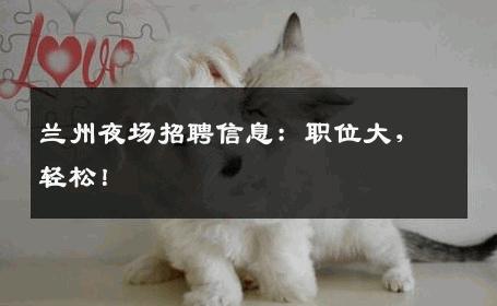 兰州夜场招聘信息：职位大，轻松！