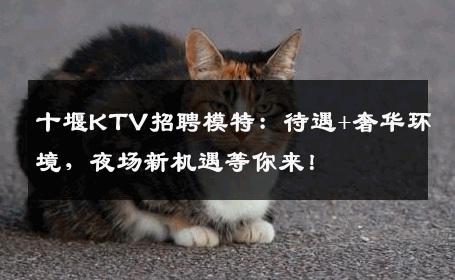 十堰KTV招聘模特：待遇+奢华环境，夜场新机遇等你来！