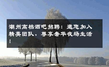 潮州高档酒吧招聘：邀您加入精英团队，尊享奢华夜场生活！