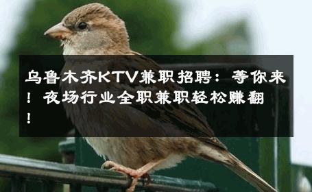 乌鲁木齐KTV兼职招聘：等你来！夜场行业全职兼职轻松赚翻！
