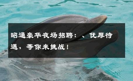 昭通豪华夜场招聘：、优厚待遇，等你来挑战！