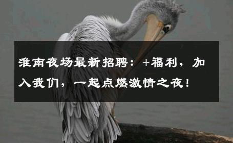 淮南夜场最新招聘：+福利，加入我们，一起点燃激情之夜！
