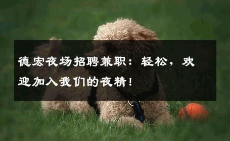 德宏夜场招聘兼职：轻松，欢迎加入我们的夜精！