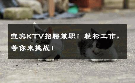 宜宾KTV招聘兼职！轻松工作，等你来挑战！