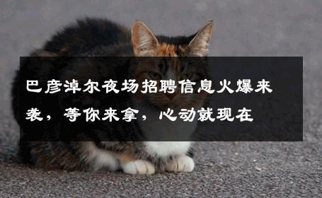 巴彦淖尔夜场招聘信息火爆来袭，等你来拿，心动就现在