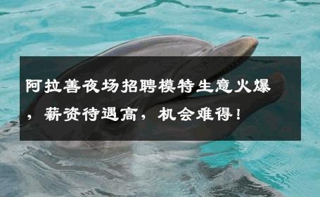 阿拉善夜场招聘模特生意火爆，薪资待遇高，机会难得！