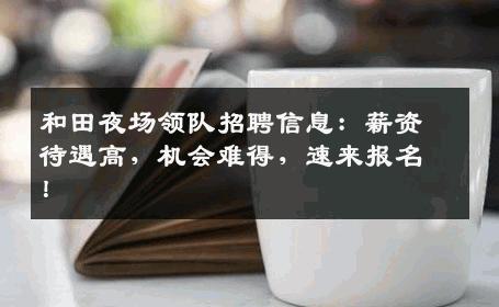 和田夜场领队招聘信息：薪资待遇高，机会难得，速来报名！