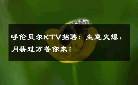 呼伦贝尔KTV招聘：生意火爆，月薪过万等你来！