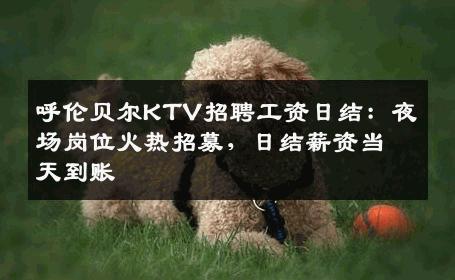 呼伦贝尔KTV招聘工资日结：夜场岗位火热招募，日结薪资当天到账