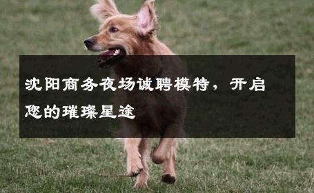沈阳商务夜场诚聘模特，开启您的璀璨星途