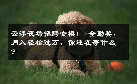 云浮夜场招聘女模：+全勤奖，月入轻松过万，你还在等什么？