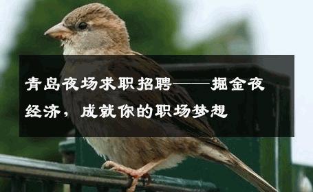 青岛夜场求职招聘——掘金夜经济，成就你的职场梦想