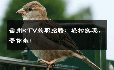 宿州KTV兼职招聘：轻松实现，等你来！